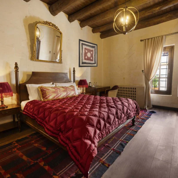 Zerzembe Deluxe Oda 101 00004