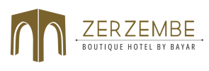 zerzembe_web_logo